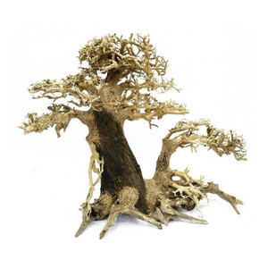 bonsai-multi-gauche-30x35cm.jpg