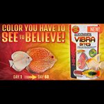 HIKARI Vibra Bites (35gr)