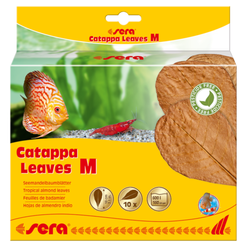 SERA folhas de Catappa M