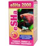 eSHa 2000
