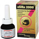 eSHa 2000