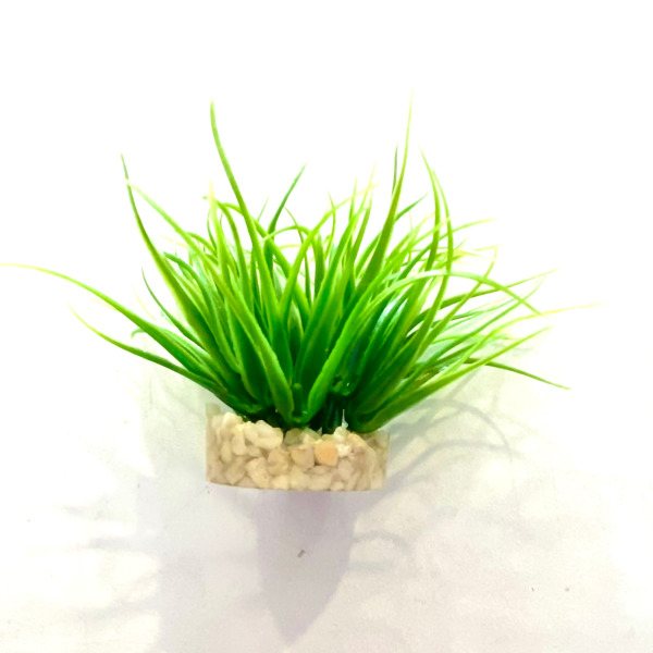 SYDECO Aqua Nano Moss