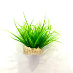 SYDECO Aqua Nano Moss