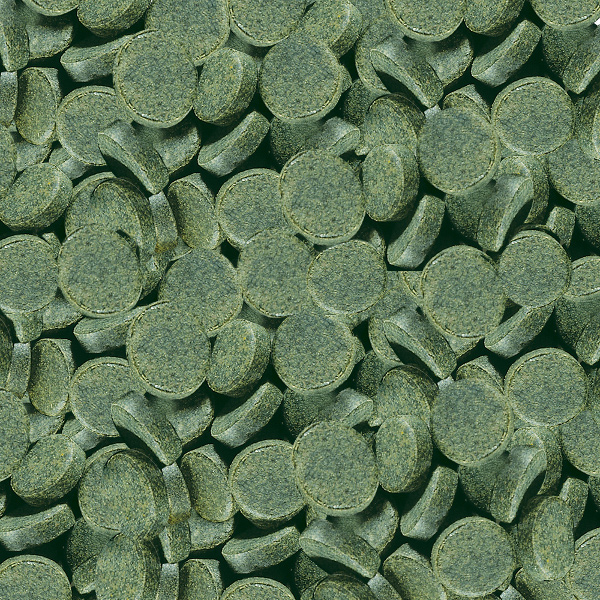 SERA Pastilhas de Spirulina (100ml)