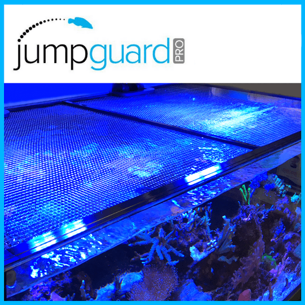 D-D Jumpguard Brace Bar Set