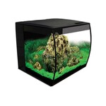 FLUVAL Flex Kit Aquário 34L