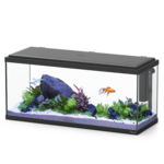 AQUATLANTIS Aquário Explorer Amesterdão