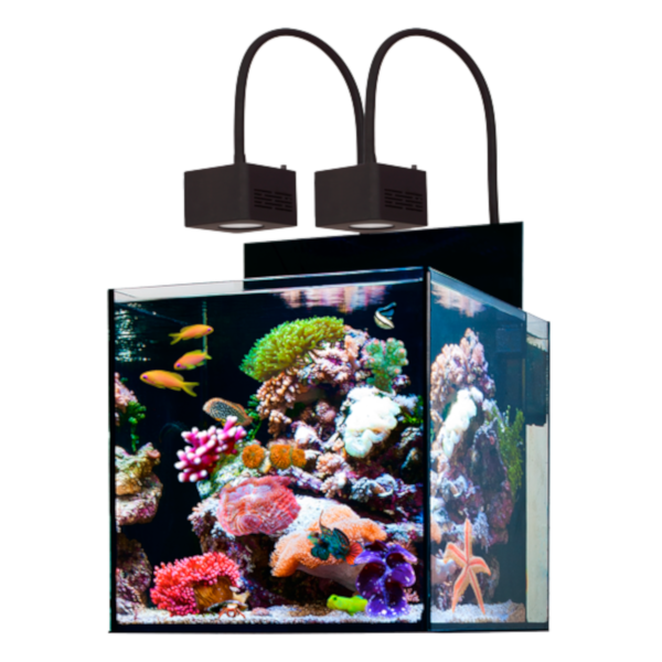 AQUA MEDIC Cubicus Qube 140L