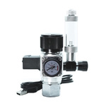 STRIDEWAYS Regulador de CO2 Pro