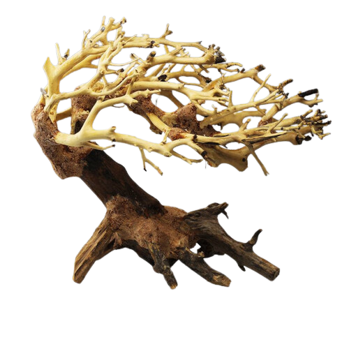 STRIDEWAYS Wave Bonsai S