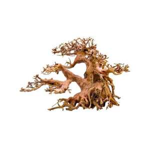 bonsai-500x500.jpg