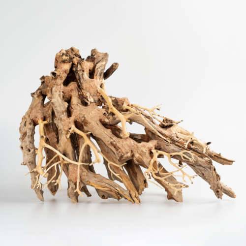 STRIDEWAYS Octopus Bonsai M