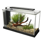 FLUVAL Aquário Spec 19L