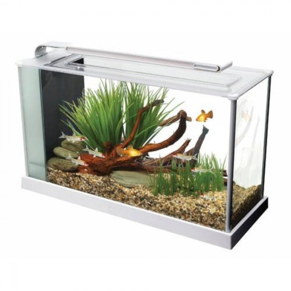 FLUVAL Aquário Spec 19L