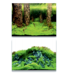 Fotofundo Dupla Face Rochas / Plantas (m)