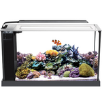 FLUVAL Aquário Marinho Evo 52L