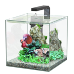 AQUATLANTIS Kubus Betta 15L