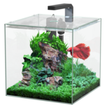 AQUATLANTIS Kubus Betta 22L