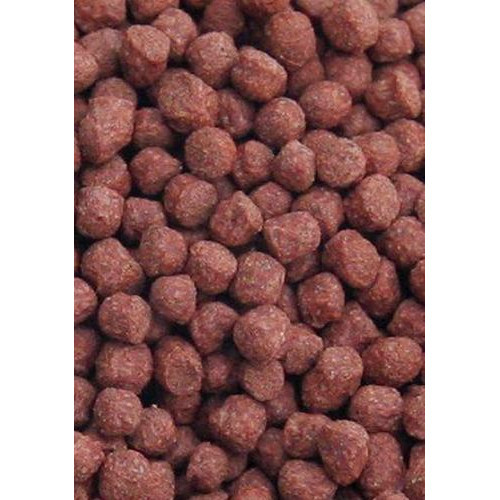 OCEAN NUTRITION Premium Goldfish Pellets (110g)