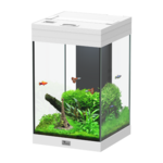AQUATLANTIS Aqua Tower 43