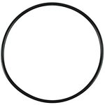 FLUVAL O-Ring A20064