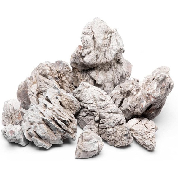 Rocha Elephant skin