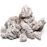 Rocha Elephant skin