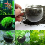Vaso decorativo em vidro p/ Plantas