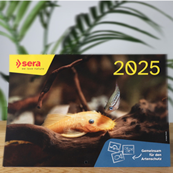 SERA Calendário 2025
