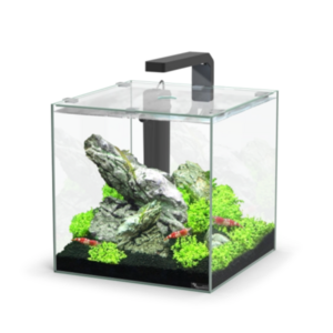aquarioaquatlantiskubus15l.png
