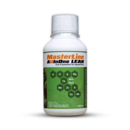 MASTERLINE All in One Lean (200ml)
