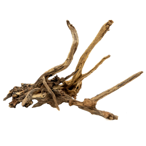 troncoblackslimwood(kg).jpg