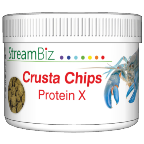 STREAMBIZ Crusta Chips (40g)
