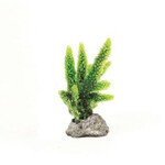 NATUREFORM Coral Staghorn Green Acropora