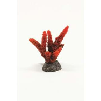 NATUREFORM Coral Staghorn Red Acropora