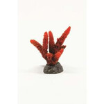 NATUREFORM Coral Staghorn Red Acropora