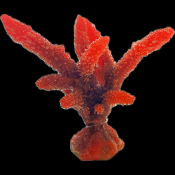 NATUREFORM Coral Staghorn Red Acropora