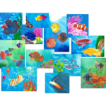 Agenda do Aquarista (2025)