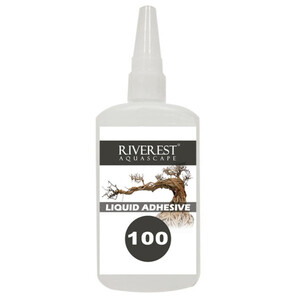 riverestcolapaquascaping_2.jpg