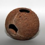 JBL Cocos Cava 1/1L
