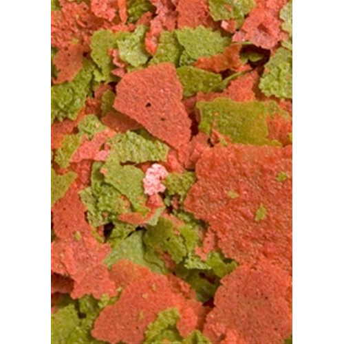 OCEAN NUTRITION Discus Flakes (71g)