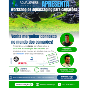 workshopdeaquascapingparacamaroes_3.png