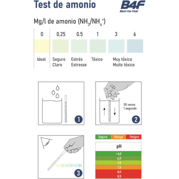 B4F Testes de tiras (6+6)