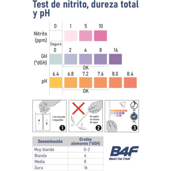 B4F Testes de tiras (6+6)