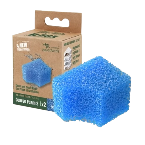 AQUATLANTIS B-Box Esponja grossa (10ppi)