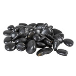 AQUA DELLA Seixo Preto (1kg)
