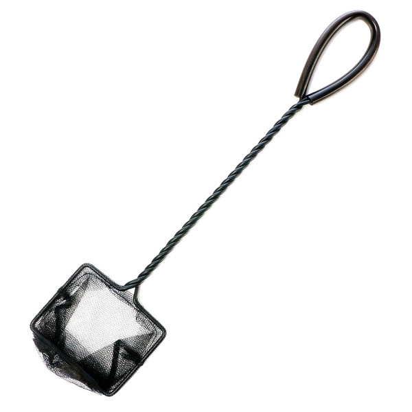 MARINA Camaroeiro (10cm) Preto