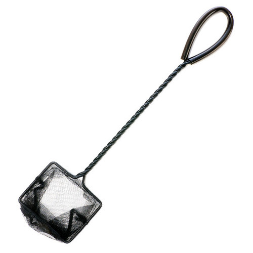 MARINA Camaroeiro (10cm) Preto