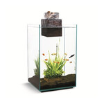 FLUVAL Chi Aquário 19L