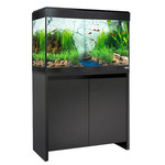 FLUVAL Roma Aquário + Móvel c/ LED 125L